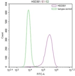 Invitrogen HSD3B1 Recombinant Rabbit Monoclonal Antibody (10G2) 100 &mu;L;