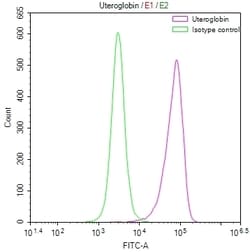 Invitrogen Uteroglobin Recombinant Rabbit Monoclonal Antibody (21B2) 100