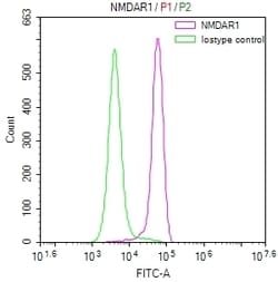Invitrogen NMDAR1 Recombinant Rabbit Monoclonal Antibody (24F5) 100 &mu;L;