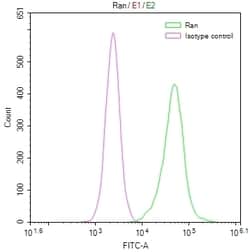 Invitrogen RAN Recombinant Rabbit Monoclonal Antibody (15A8) 100 &mu;L;