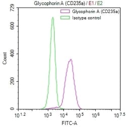 Invitrogen CD235a Recombinant Rabbit Monoclonal Antibody (27A8) 100 &mu;L;