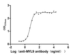 Invitrogen MYL9 Recombinant Human Monoclonal Antibody (6G11) 100 &mu;L;