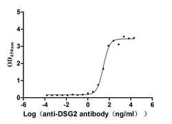 Invitrogen Desmoglein 2 Recombinant Human Monoclonal Antibody (22H6) 100