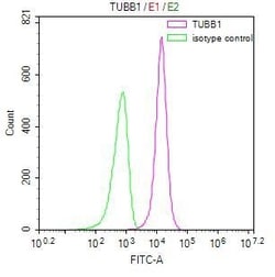 Invitrogen TUBB1 Recombinant Mouse Monoclonal Antibody (20B1) 100 &mu;L | Buy Online | Invitrogen&trade; | Fisher Scientific
