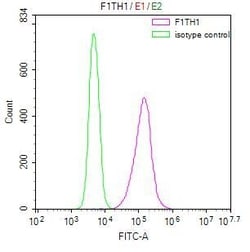 Invitrogen Ferritin Heavy Chain Recombinant Mouse Monoclonal Antibody (18C10) 100 &mu;L | Buy Online | Invitrogen&trade; | Fisher Scientific