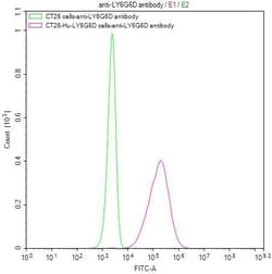 Invitrogen LY6G6D Recombinant Mouse Monoclonal Antibody (2D6) 100 &mu;L | Buy Online | Invitrogen&trade; | Fisher Scientific