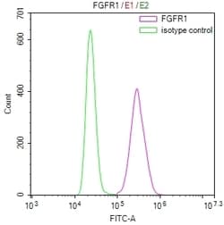 Invitrogen FGFR1 Recombinant Rabbit Monoclonal Antibody (10A9) 100 &mu;L;