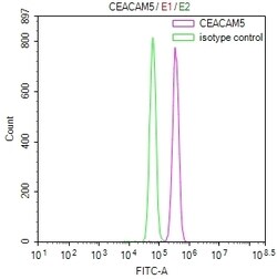 Invitrogen CEA Recombinant Rabbit Monoclonal Antibody (4D8) 100 &mu;L;