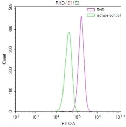 Invitrogen RHD Recombinant Mouse Monoclonal Antibody (28D12) 100 &mu;L;