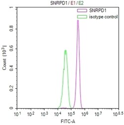 Invitrogen SNRPD1 Recombinant Mouse Monoclonal Antibody (24E2) 100 &mu;L;