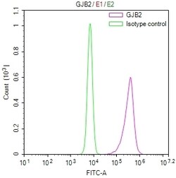 Invitrogen Connexin 26 Recombinant Mouse Monoclonal Antibody (24F5) 100 &mu;L | Buy Online | Invitrogen&trade; | Fisher Scientific