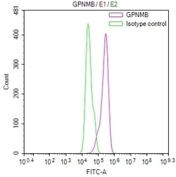 Invitrogen GPNMB Recombinant Mouse Monoclonal Antibody (3G2) 100 &mu;L;