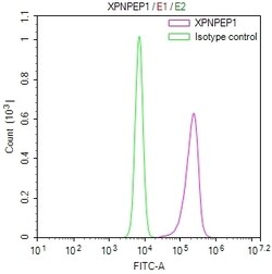 Invitrogen XPNPEP1 Recombinant Mouse Monoclonal Antibody (4D12) 100 &mu;L;