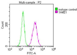 Invitrogen PPA1 Monoclonal Antibody (1H4E1) 100 &mu;L; Unconjugated:Antibodies,