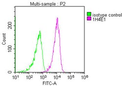Invitrogen PPA1 Monoclonal Antibody (1H4E1) 100 &mu;L; Unconjugated:Antibodies,
