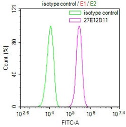 Invitrogen Cytochrome C1 Monoclonal Antibody (27E12D11) 100 &mu;L; Unconjugated:Antibodies,