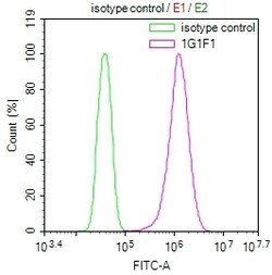 Invitrogen GSTM3 Monoclonal Antibody (1G1F1) 100 &mu;L; Unconjugated:Anticuerpos