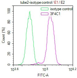 Invitrogen Phospho-Histone H3 (Ser28) Monoclonal Antibody (3F4C1) 100 &mu;L;