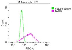 Invitrogen SMURF1 Monoclonal Antibody (1A9H4) 100 &mu;L; Unconjugated:Antibodies,