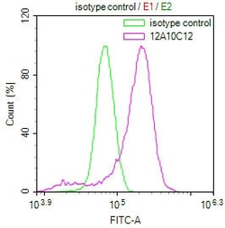 Invitrogen PRDX3 Monoclonal Antibody (12A10C12) 100 &mu;L; Unconjugated:Antibodies,