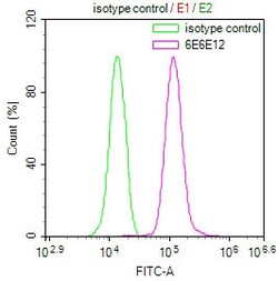 Invitrogen PRDX3 Monoclonal Antibody (6E6E12) 100 &mu;L; Unconjugated:Antibodies,