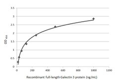 Invitrogen Galectin 3 Monoclonal Antibody (GT759) 100 &mu;L; Unconjugated:Antibodies,