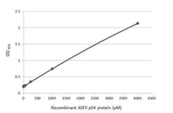 Invitrogen African Swine Fever Virus Structural Protein p54 Recombinant