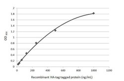 Invitrogen HA Tag Recombinant Rabbit Monoclonal Antibody (HL1603) 100 &mu;L;