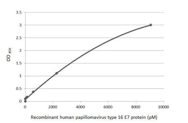 Horned Rabbit Hpv Invitrogen HPV Type 16 E7 Recombinant Rabbit Monoclonal Antibody ...