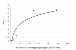 Invitrogen Pepsinogen I Recombinant Rabbit Monoclonal Antibody (HL2137)