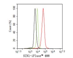 Invitrogen MAPKAP1 Monoclonal Antibody (A6G10) 100 &mu;L; Unconjugated:Antibodies,