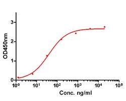 Invitrogen GM-CSF Monoclonal Antibody (A6C5) 100 &mu;L; Unconjugated:Antibodies,