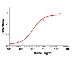 Invitrogen IL-1 beta Monoclonal Antibody (A7F7) 100 &mu;L; Unconjugated:Antibodies,