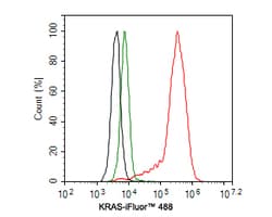 Invitrogen K-Ras Monoclonal Antibody (A8E5) 100 &mu;L; Unconjugated:Antibodies,