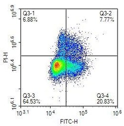 Invitrogen BrdU Monoclonal Antibody (A9C6) 100 &mu;L | Buy Online | Invitrogen&trade; | Fisher Scientific