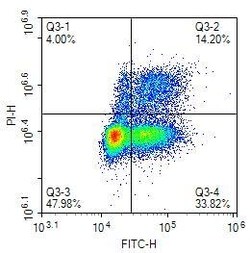 Invitrogen BrdU Monoclonal Antibody (A9C6) 100 &mu;L | Buy Online | Invitrogen&trade; | Fisher Scientific