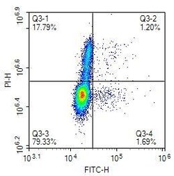 Invitrogen BrdU Monoclonal Antibody (A9C6) 100 &mu;L | Buy Online | Invitrogen&trade; | Fisher Scientific