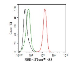 Invitrogen RBM3 Recombinant Rabbit Monoclonal Antibody (JE63-84) 100 &mu;L | Buy Online | Invitrogen&trade; | Fisher Scientific
