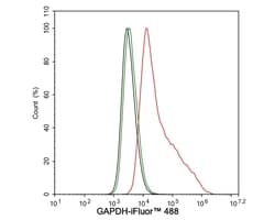 Invitrogen GAPDH Recombinant Rabbit Monoclonal Antibody (PD00-07) 100 &mu;L | Buy Online | Invitrogen&trade; | Fisher Scientific
