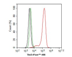 Invitrogen TBX3 Recombinant Rabbit Monoclonal Antibody (JE33-38) 100 &mu;L;