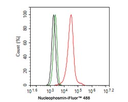 Invitrogen NPM1 Recombinant Rabbit Monoclonal Antibody (PD00-91) 100 &mu;L;