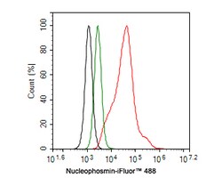 Invitrogen NPM1 Recombinant Rabbit Monoclonal Antibody (PD00-91) 100 &mu;L;