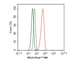 Invitrogen RALA Recombinant Rabbit Monoclonal Antibody (JE54-12) 100 &mu;L;
