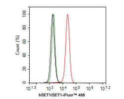 Invitrogen SETD1A Recombinant Rabbit Monoclonal Antibody (PH00-02) 100