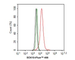 Invitrogen SOX10 Recombinant Rabbit Monoclonal Antibody (PDH0-05) 100 &mu;L;