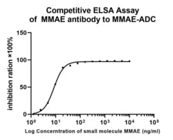 Invitrogen MMAE Recombinant Rabbit Monoclonal Antibody (PSH0-03) 100 &mu;L;
