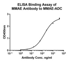 Invitrogen MMAE Recombinant Rabbit Monoclonal Antibody (PSH0-04) 100 &mu;L | Buy Online | Invitrogen&trade; | Fisher Scientific