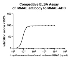 Invitrogen MMAE Recombinant Rabbit Monoclonal Antibody (PSH0-04) 100 &mu;L | Buy Online | Invitrogen&trade; | Fisher Scientific