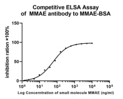 Invitrogen&trade;&nbsp;MMAE Recombinant Rabbit Monoclonal Antibody (PSH0-04)