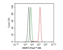Invitrogen WDR77 Recombinant Rabbit Monoclonal Antibody (PSH0-07) 100 &mu;L;